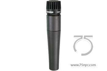 Enlarged view of image